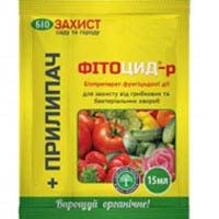 Растения, семена и горшки