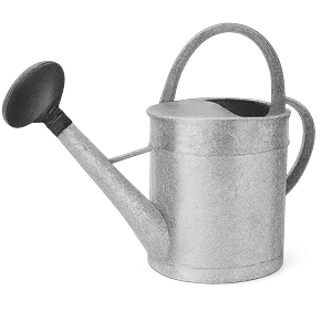 Лейки