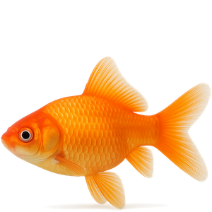 Акваріумні рибки