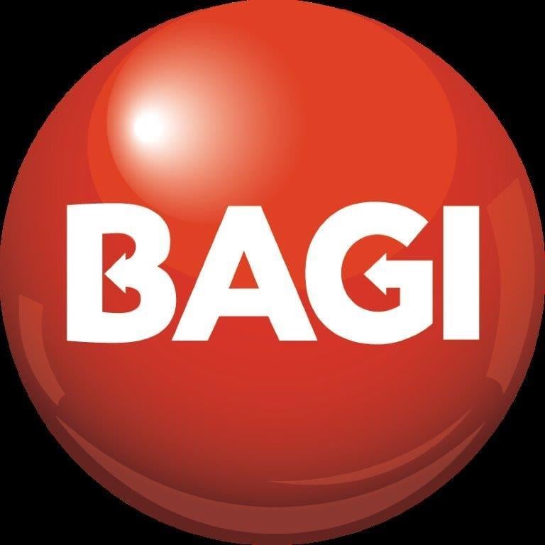 Офіційний логотип бренду Bagi