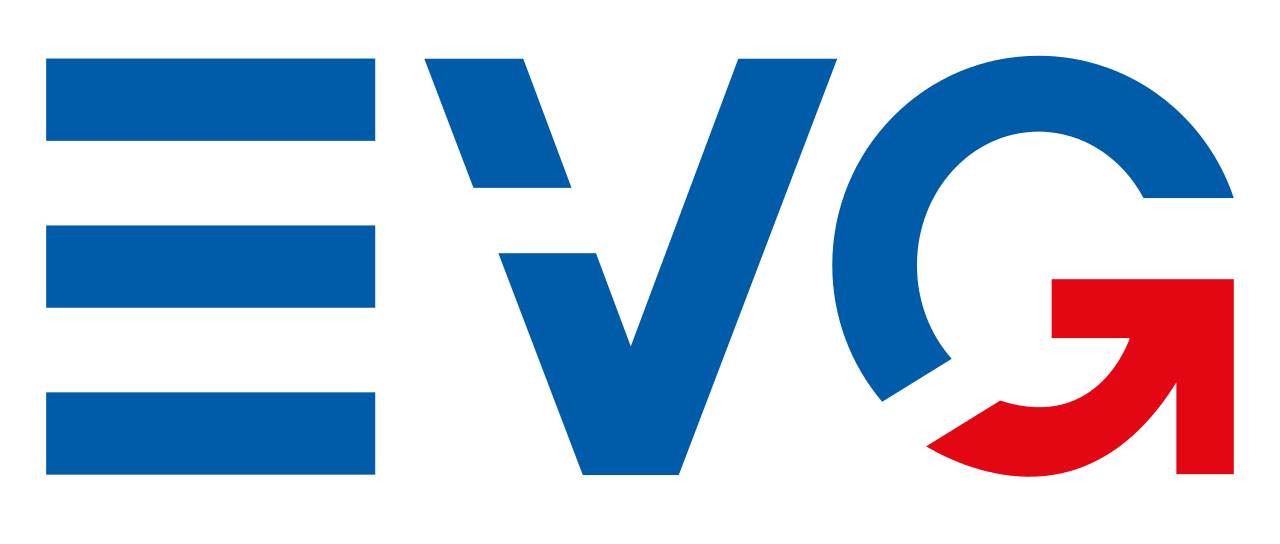 Официальный логотип бренда EVG