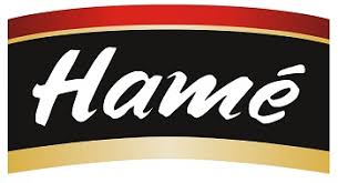 Офіційний логотип бренду Hame
