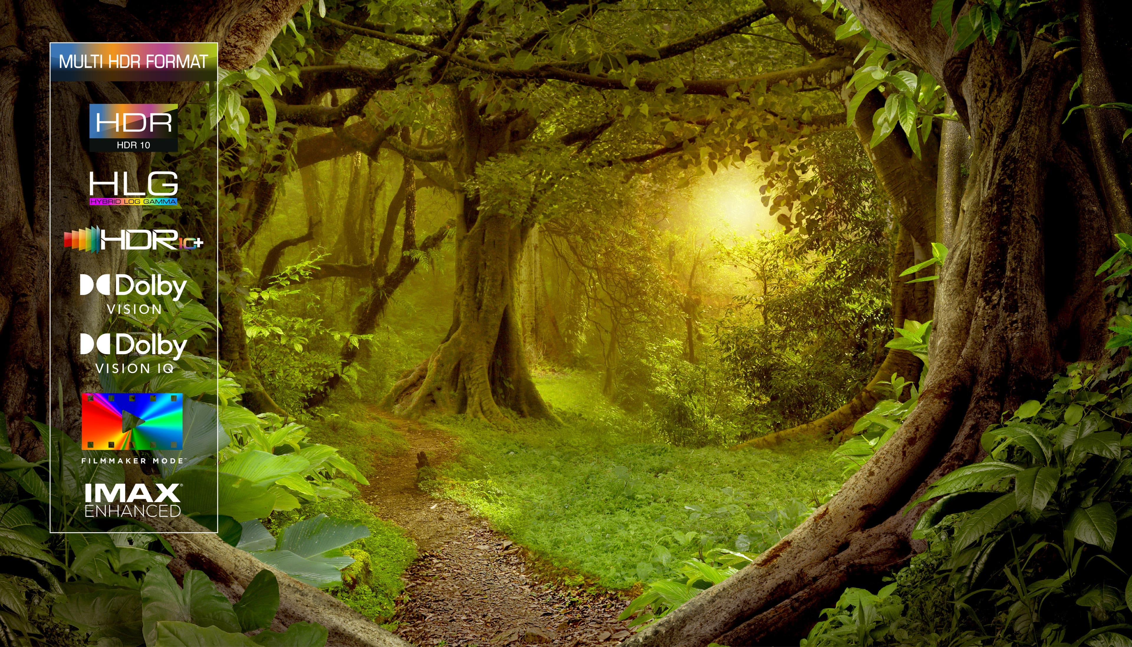 HDR MULTIFORMAT (level 2)