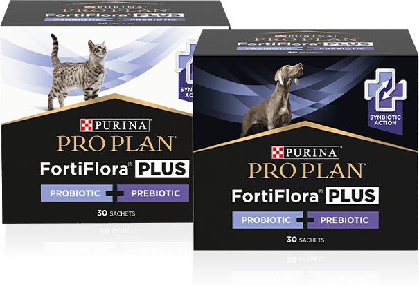 Pro Plan<sup>®</sup> FortiFlora<sup>®</sup> Plus (Плюс) - синбиотическое действие<br>пребиотика и пробиотика product