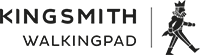 Официальный логотип бренда KingSmith