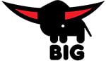 Официальный логотип бренда Big