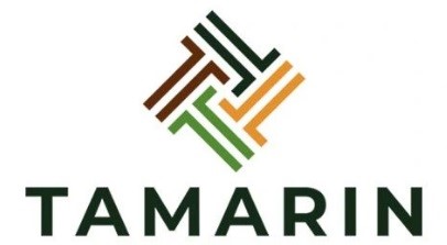 Официальный логотип бренда TAMARIN
