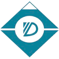 Официальный логотип бренда Dongyin