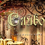 Офіційний логотип бренду УТ Сяйво