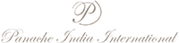 Офіційний логотип бренду PANACHE