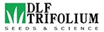 DLF-Trifolium Офіційний логотип бренду DLF-Trifolium