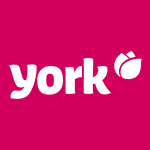 York Официальный логотип бренда York