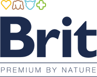 Офіційний логотип бренду Brit