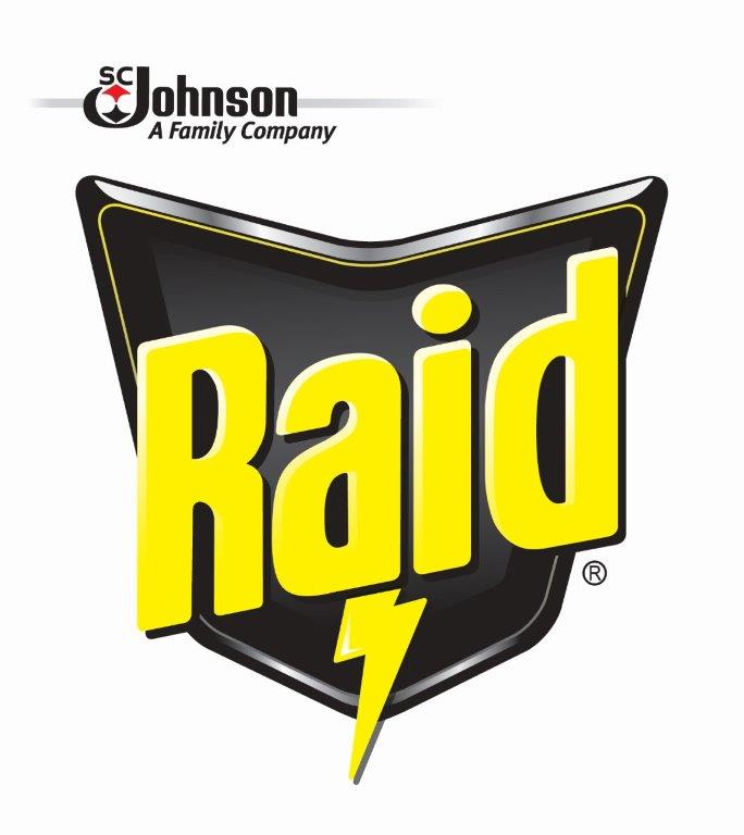 Официальный логотип бренда Raid