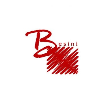Официальный логотип бренда BESINI