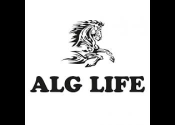 ALG Официальный логотип бренда ALG